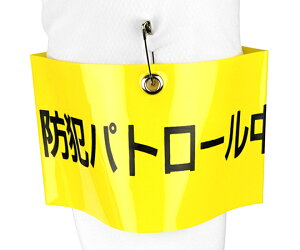 g[[ZteB[ r hƃpg[ NO.65-F11 1