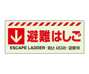 jbg UWij@@͂XebJ[ 831-43 1