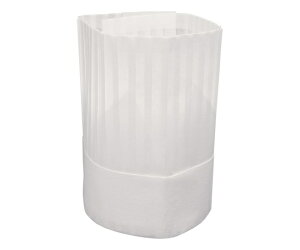 Y v~AVFtnbg250@10 BLP-250 1P[X(10)