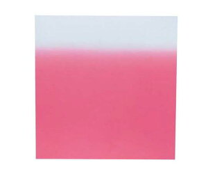 TKG C~iCfV 24(10) {JV sN 1P[X(10)