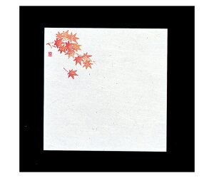 A[ebN ԍRۘa Ԃ݉~(200) ݂ W5-7 1P[X(200)