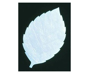 A[ebN ԍRۘa t^lG(200)  LF-S 1P[X(200)