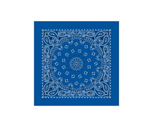 �P�j���� �o���_�i CP-12 ���C�����u���[ KY6000CP12 1��