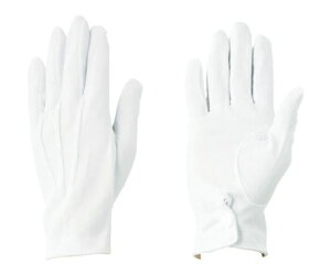 Y iCW zbNt LL 211-LL 1o