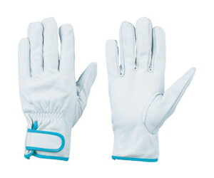 V {v܁@CG717 CG717-SS 1o