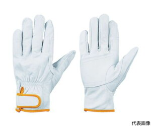 V {v܁@CG718 CG718-SS 1o