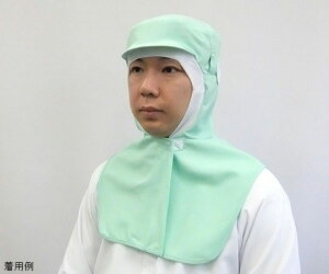 K[hi[ Xgb`|v@cott[hi΁j@p@LTCY SP462-3 1