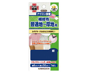 KAWAGUCHI ʒn`np@Cz@ 93-010 1