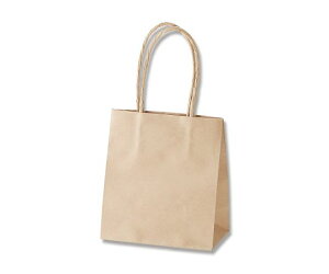 VW} 񂰎܁@X[XobO@Nn@25 003138010 1(25)