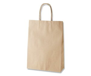 VW} 񂰎܁@X[XobO@Nn@25 003155602 1(25)