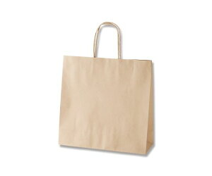 VW} 񂰎܁@X[XobO@Nn@25 003158503 1(25)