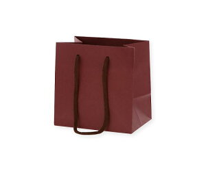 VW} 񂰎܁@J[`[obO@GW@10 005330003 1(10)