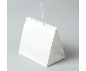 VW} 񂰎܁@AWobO@L@@NEW@10 006441100 1(10)