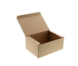 シモジマ 食品容器　ネオクラフトボックス　ケーキボックス　L　ケーキ6個用　20枚 004248017 1袋(20枚入)