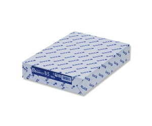 ɓpv Rs[p@BLANCO@B5@500 007573699 1(500)