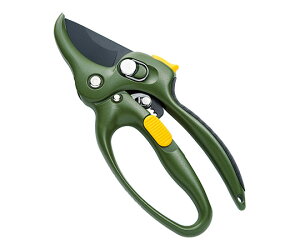 pY p[Abvi֐nj@SGS-30 4372 1