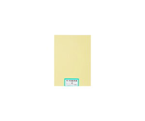 GG[i剤j ĐFp@4c؁@100@N[ 1pbN(100)