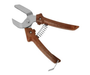 aؐ쏊 Ȃ񊄂 PR2571 1