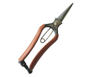 y܂Ƃ߂2Zbgzዷ n@200mm@{̉Ԑ M200 1