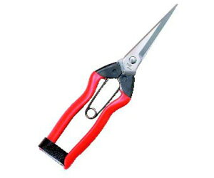 ѐ zH@XeX@nE@200mm J-2 1