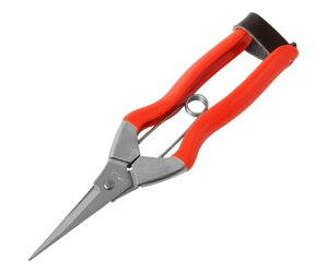 ѐ zH@XeXE@185mm S-1 1