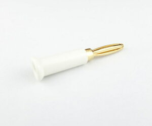 eCVd@ @oiivOiEbLj P-421-5(E)-W 1