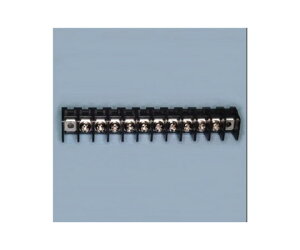 サトーパーツ 貫通型端子台 はんだ付け差込端子兼用 250V-10A セムスネジ 10極 ML-40-S1AXS-10P 1個