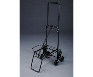 �G�X�R �|�[�^�u���L�����[�i6�֎��j�@380×985mm/40kg EA520CP-2 1��