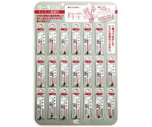 ACV[ T[245@~j~jxviV[gj 20