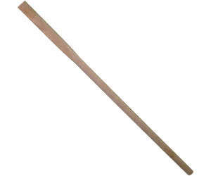 R ܘY u󕿁v L̕ NTrt 1200mm 1