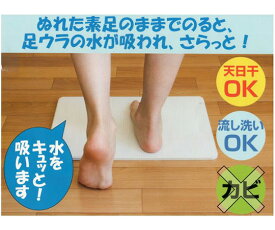 フジワラ化学 NEW足乾バスマット 1個