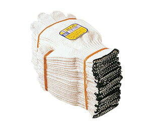 ӂ R@el` 681 1_[X(12o)