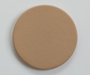 ビューラックス 頬部肌模型 20代女性 ウレタン No.10C 1枚