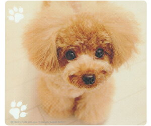 TTvC }EXpbh@eB[Jbvv[h 1 MPD-215B