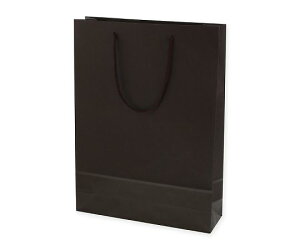 HEIKO 手提げ紙袋 カラーチャームバッグ 2才 ブラウン 10枚 1パック(10枚入) 005310115