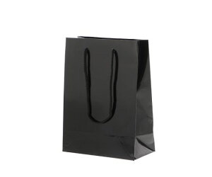 HEIKO 手提げ紙袋 ブライトバッグ T-3 黒 10枚 1パック(10枚入) 006143101