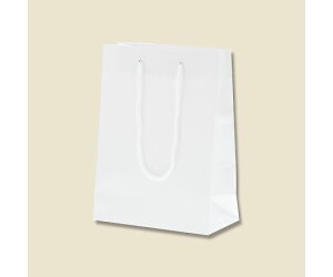 HEIKO 񂰎܁@uCgobO@T-3@@10 1pbN(10) 006143106