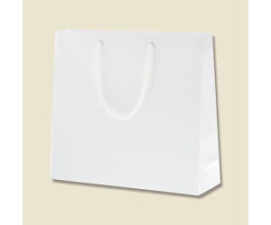 HEIKO 񂰎܁@uCgobO@GM@@10 1pbN(10) 006137901