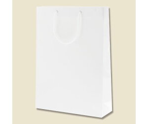 HEIKO 手提げ紙袋 ブライトバッグ G2 白 10枚 1パック(10枚入) 006138001