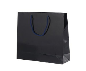 HEIKO 񂰎܁@uCgobO@GM@@10 1pbN(10) 006137919