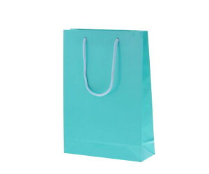 HEIKO 񂰎܁@uCgobO@SWT@ATM@10 1pbN(10) 006138210