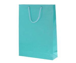 HEIKO 񂰎܁@uCgobO@G2@ATM@10 1pbN(10) 006138010