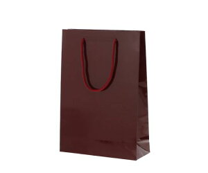 HEIKO 手提げ紙袋 ブライトバッグ SWT エンジ 10枚 1パック(10枚入) 006138202