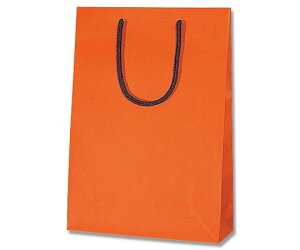 HEIKO 手提げ紙袋 ブライトバッグ SWT Dオレンジ(マットタイプ) 10枚 1パック(10枚入) 006138260