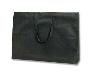 HEIKO 手提げ不織布袋 ファッションバッグ Fタイプ LL 黒 10枚 1パック(10枚入) 008738802