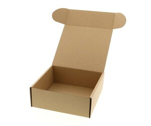 HEIKO ナチュラルボックス Z-15 無地 10枚 1パック(10枚入) 006201510