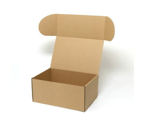 HEIKO ナチュラルボックス Z-18 無地 10枚 1パック(10枚入) 006201810