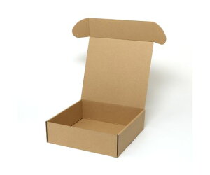 HEIKO ナチュラルボックス Z-5 無地 10枚 1パック(10枚入) 006200510