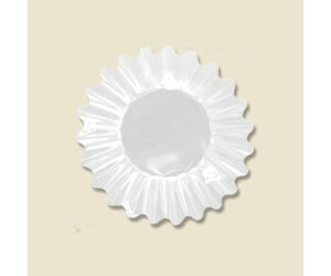 ijH tBP[X@PETJbvP[X@6F@@500 1pbN(500) 004736005