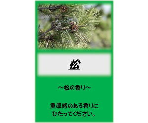 アサヒ商会 アサヒ入浴剤 松 10kg 1箱